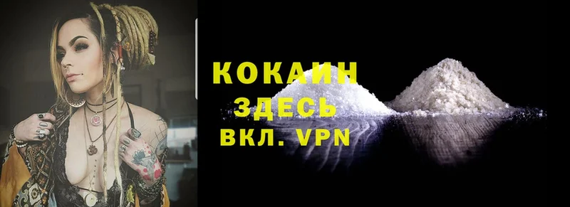 ссылка на мегу как войти  Межгорье  Cocaine 99%  купить наркотик 